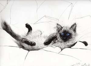 Jouer bébé, 2006 - Vincent Alexander Booth